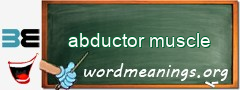 WordMeaning blackboard for abductor muscle